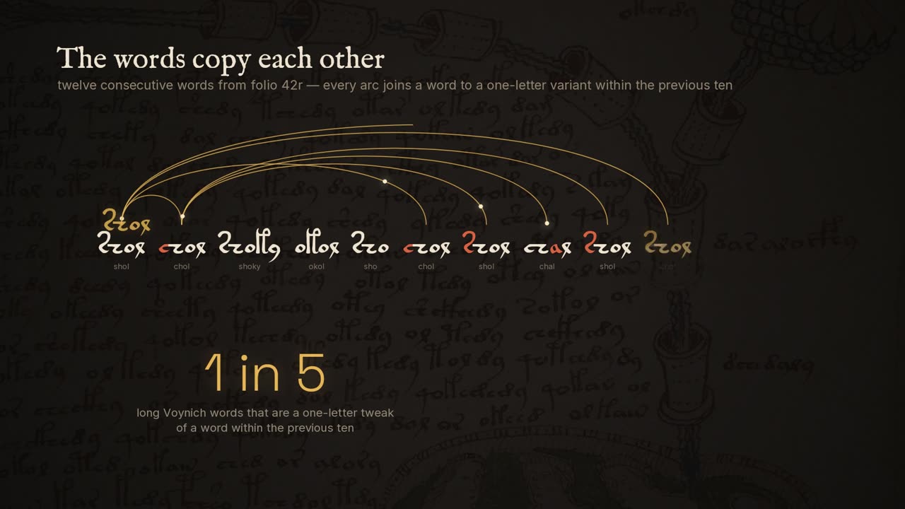 Twelve consecutive Voynichese words joined by gold arcs, with a changed glyph in red, and a large '1 in 5'