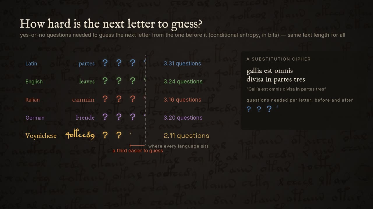 Question marks popping in beside each language, a gold card covering the next glyph of a Voynichese word, and a Latin sentence flipping into cipher symbols