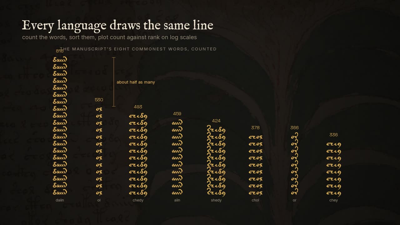 Eight piles of Voynichese words in the manuscript's script, sorted by height, with brackets marking 'about half as many' and 'about a third'